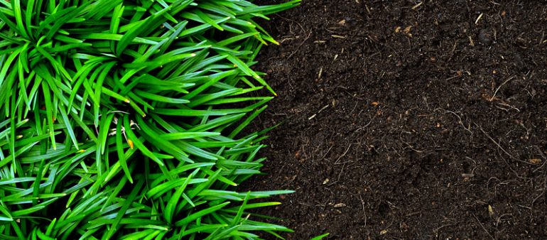 Consectetuer adipiscing elit